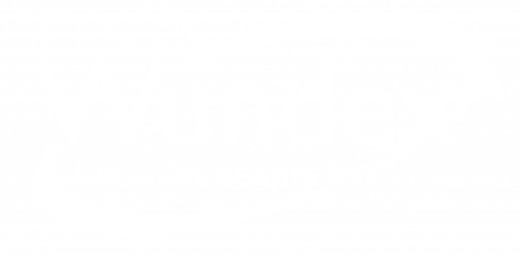 Wundex Logo weiß